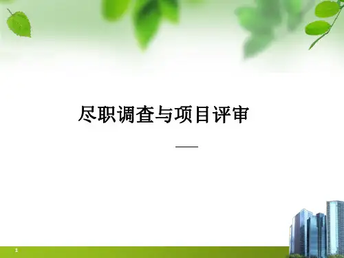 尽职调查与项目评审