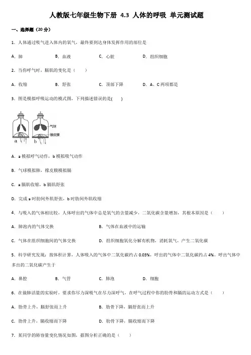 2020--2021学年人教版七年级生物下册 4.3 人体的呼吸 单元测试题
