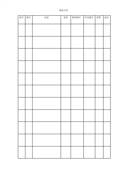 场记单模板