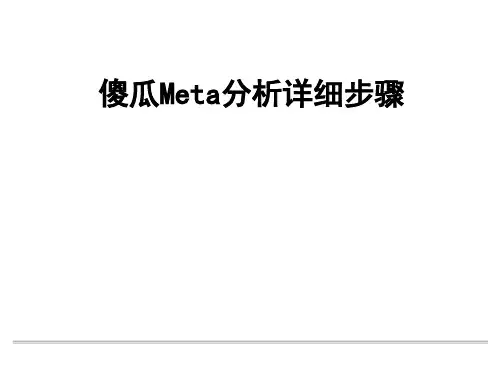 Meta分析详细步骤  课件PPT
