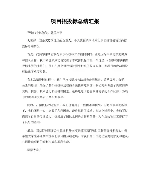 项目招投标总结汇报