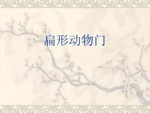 生物4扁形动物