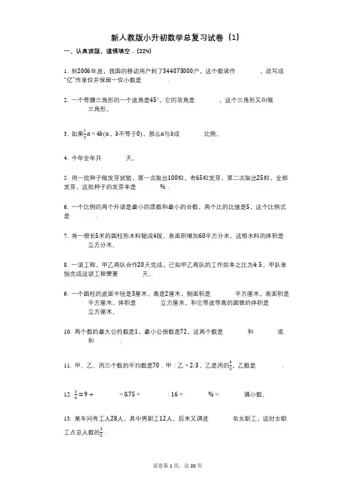 小学数学-有答案-新人教版小升初数学总复习试卷(1)