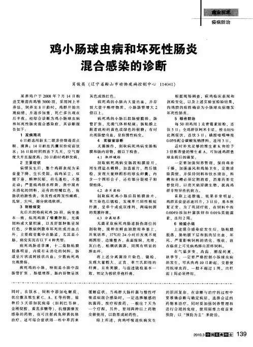 鸡小肠球虫病和坏死性肠炎混合感染的诊断