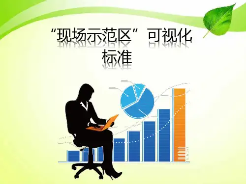 现场示范区可视化标准知识课件(干货内容 下载即用)