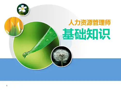人力资源管理师基础知识PPT课件