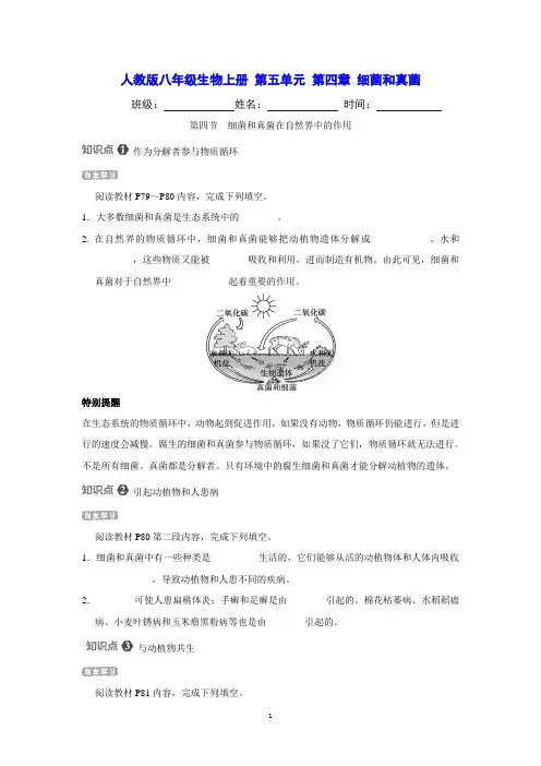 人教版八年级生物上册 第五单元 第四章 第四节 细菌和真菌在自然界中的作用 课时练习(含详细解答)