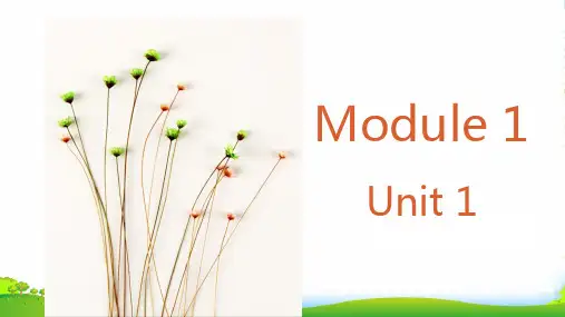 外研版三年级英语下册Module1Unit1She’sverynice课件3