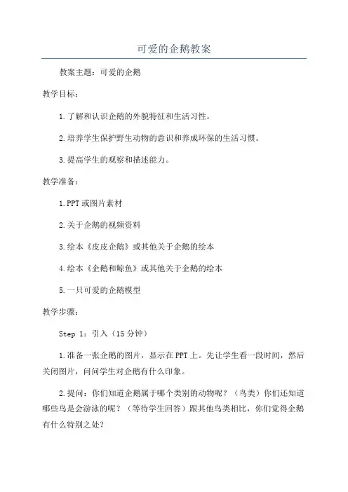 可爱的企鹅教案