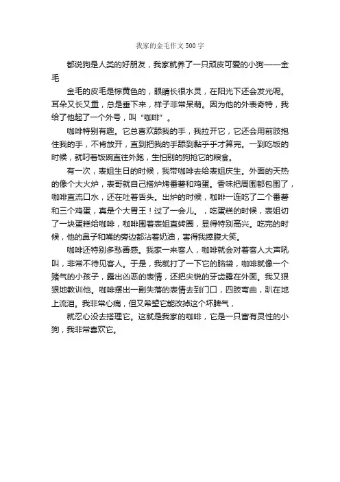 我家的金毛作文500字_小学五年级作文_
