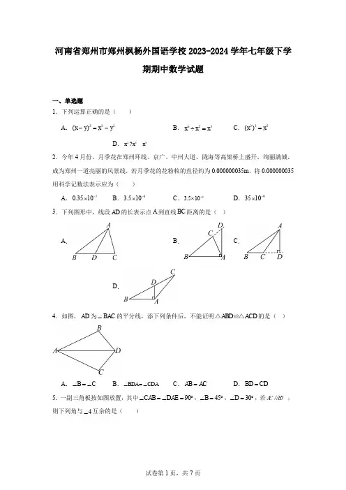 河南省郑州市郑州枫杨外国语学校2023-2024学年七年级下学期期中数学试题