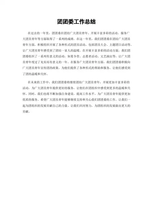 团团委工作总结