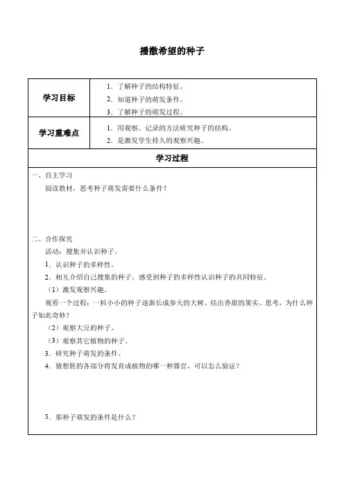 四年级下册科学学案播撒希望的种子小苗快快长湘科版