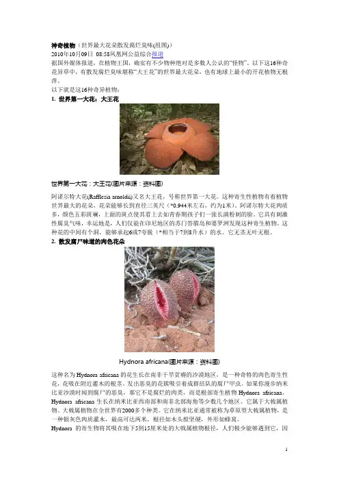 16种最奇异的植物