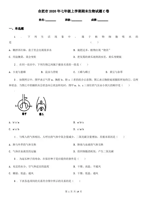 合肥市2020年七年级上学期期末生物试题C卷