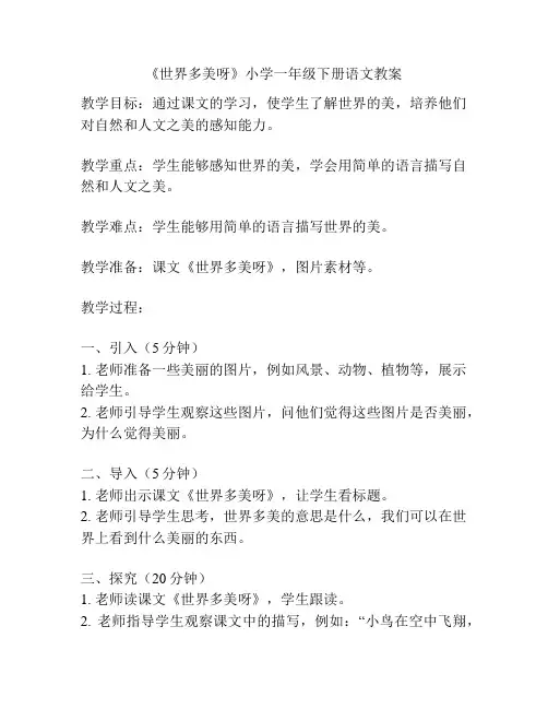 《世界多美呀》小学一年级下册语文教案