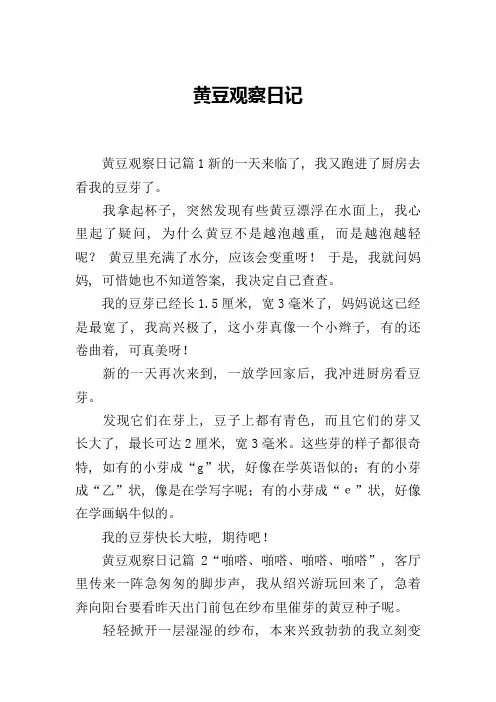 黄豆观察日记