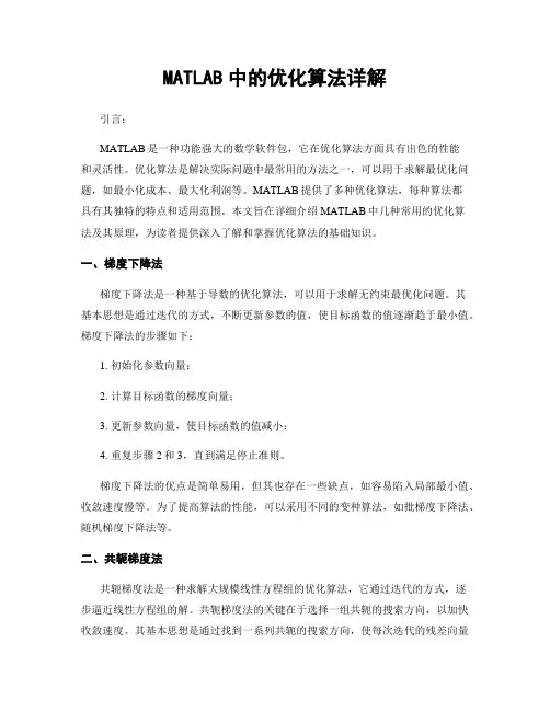 MATLAB中的优化算法详解