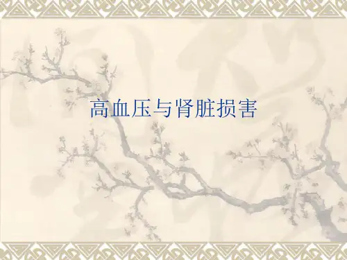 高血压与肾脏损害PPT课件