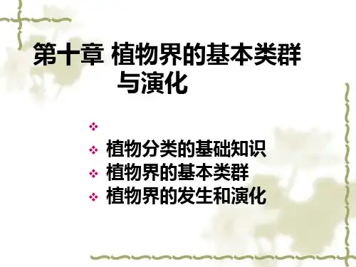 11.0 第十章 植物界的基本类群与系统演化
