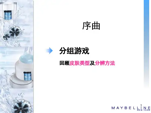 《美宝莲护肤化妆品培训教材PPT》