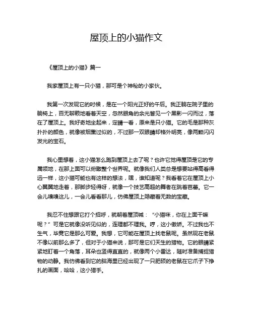 屋顶上的小猫作文