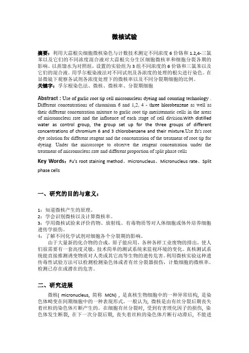 微核实验-毒理学-洋葱根尖染色体观察