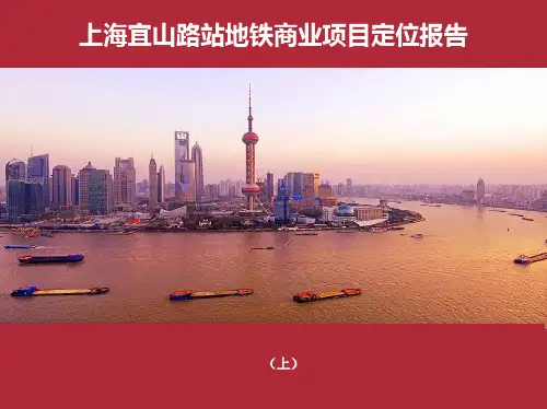 上海徐家汇商圈市场研究分析暨宜山路站地铁商业项目定位报告(上)