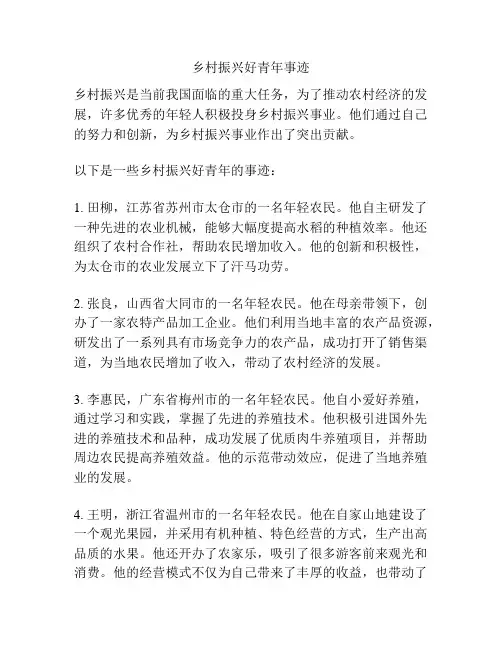 乡村振兴好青年事迹