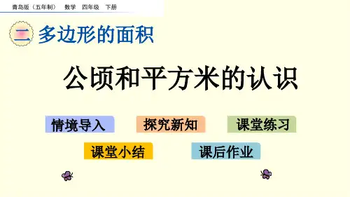 青岛版数学课件(四下)公顷和平方米的认识