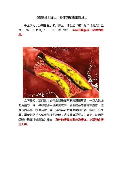 《伤寒论》提出：身体的瘀毒主要分...