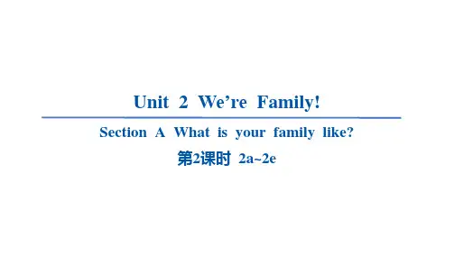 人教版(2024)七年级英语上册 Unit 2 练习课件 Section A -第2课时 2a~2e