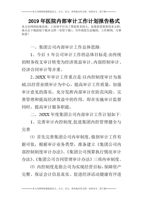 2019年医院内部审计工作计划报告格式