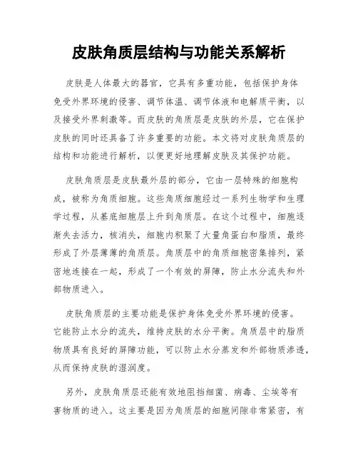 皮肤角质层结构与功能关系解析