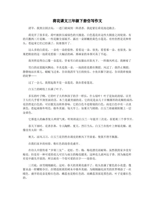 荷花课文三年级下册仿写作文