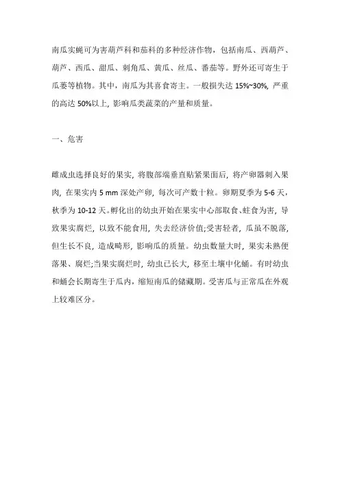 南瓜实蝇危害大!掌握发生规律轻松防治
