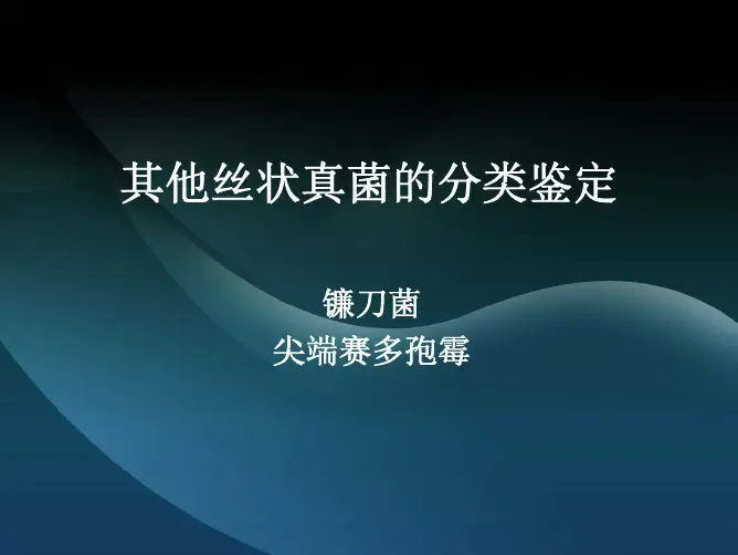 镰刀菌