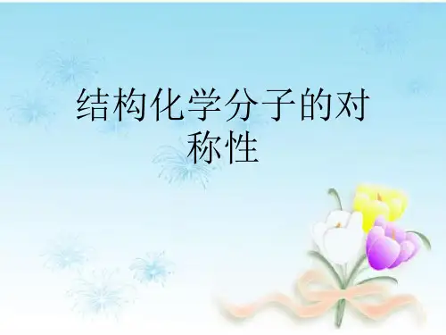 结构化学分子的对称性