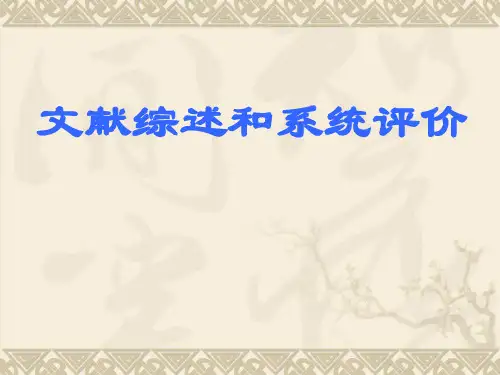 文献综述和系统评价