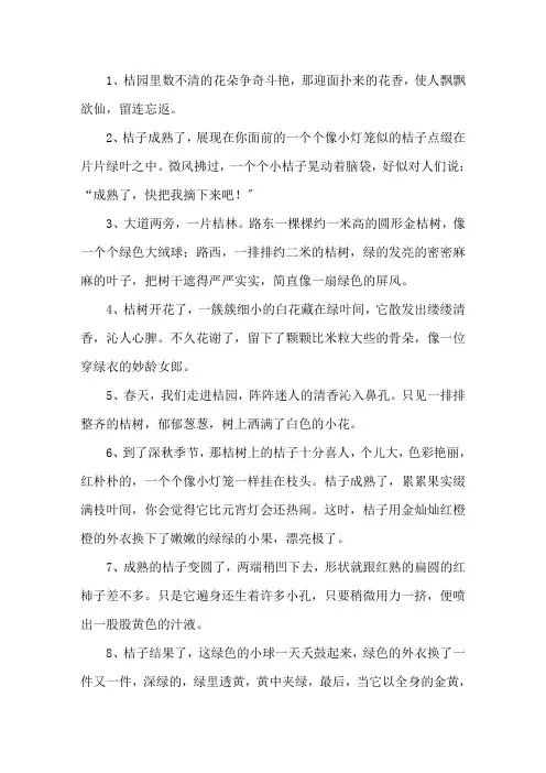 描写桔子的优美句子精选