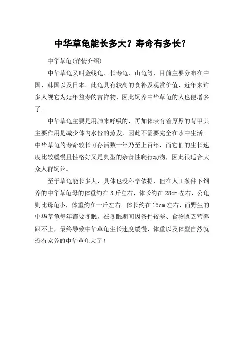 中华草龟能长多大？寿命有多长？