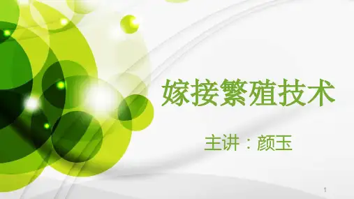 嫁接知识ppt课件