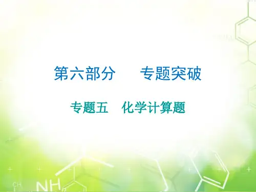2020中考必备化学第六部分专题五化学计算题