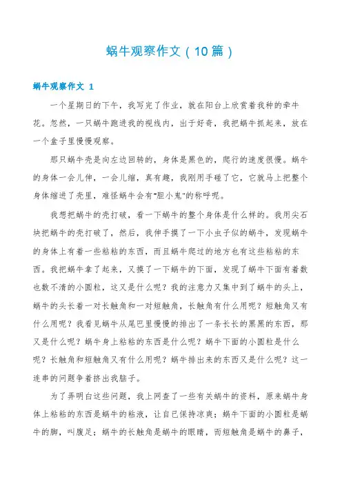 蜗牛观察作文(10篇)