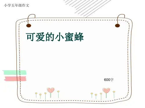 小学五年级作文《可爱的小蜜蜂》600字(共10页PPT)