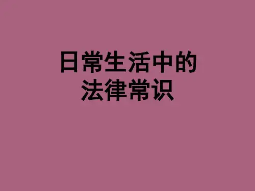 日常生活中的法律常识ppt课件