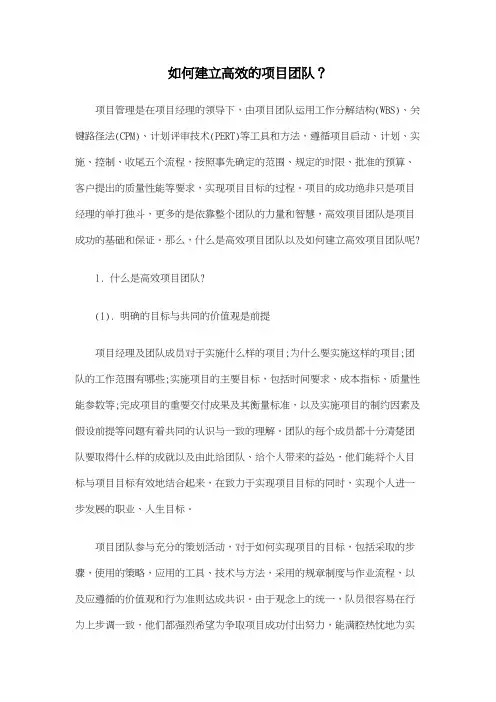 如何建立高效的项目团队？