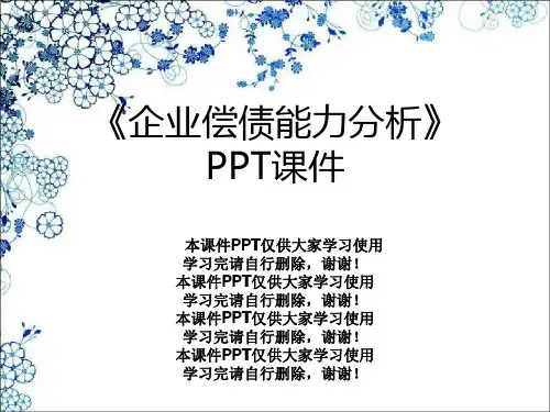 《企业偿债能力分析》PPT课件