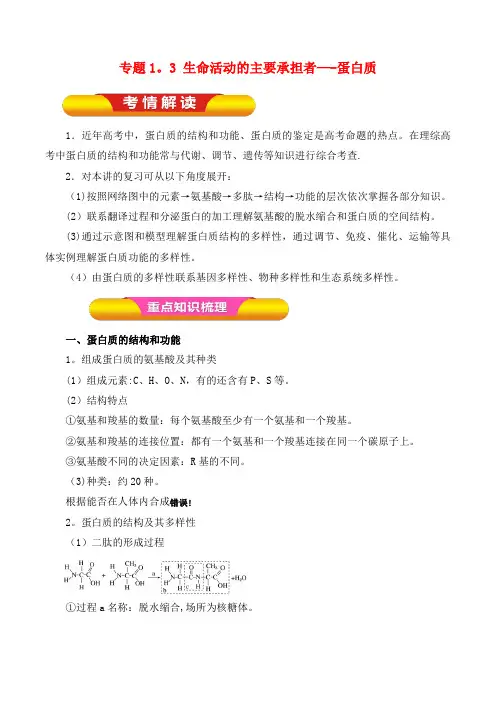 高考生物一轮复习专题1.3生命活动的主要承担者--蛋白质教学案(2021年整理)