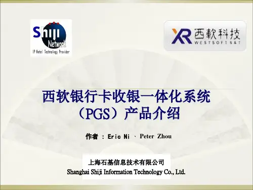 西软PGS产品介绍